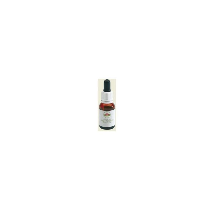 Olio Essenziale Australian Red Suva Frangipani 15ml