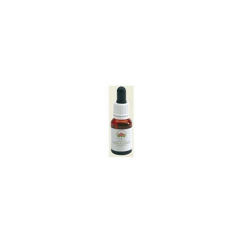 Olio Essenziale Australian Red Suva Frangipani 15ml
