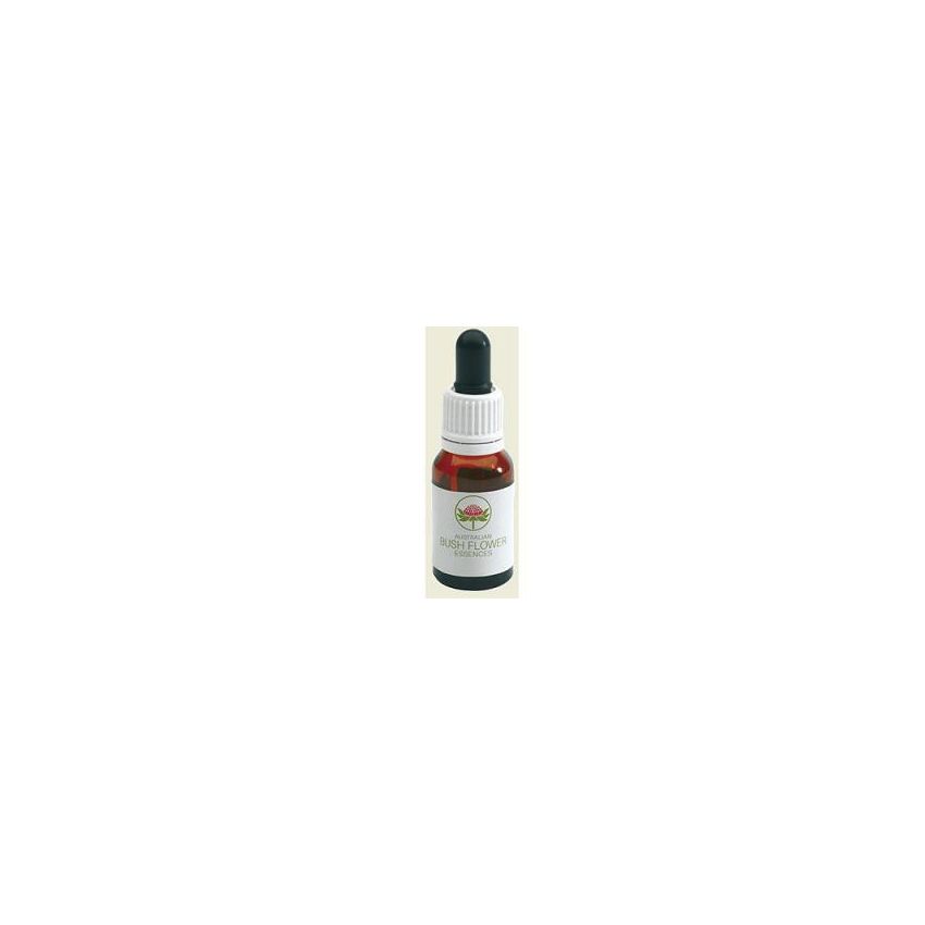 Olio Essenziale Australian Red Suva Frangipani 15ml