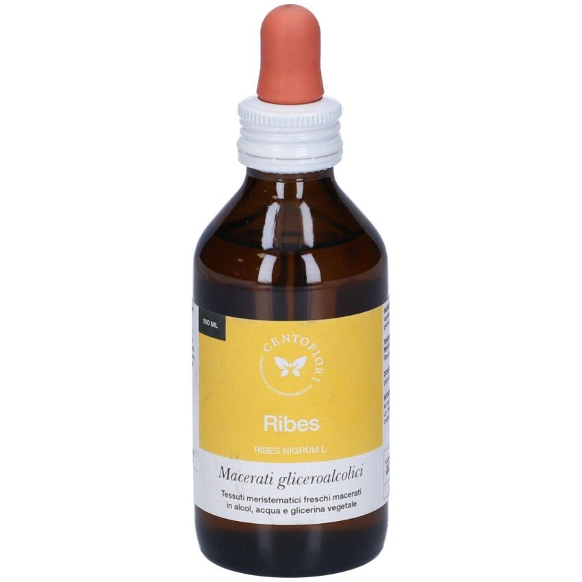 Gemme di Ribes 100ml - Concentrato di Ribes Nero