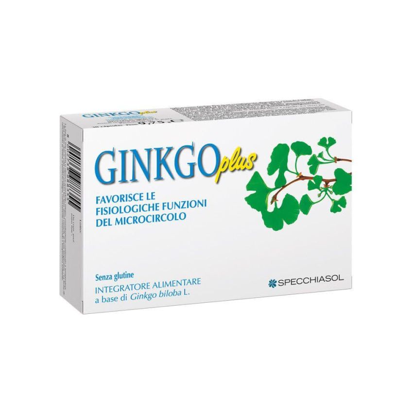 Ginkgo Plus Enhanced Formula - 30 Capsule