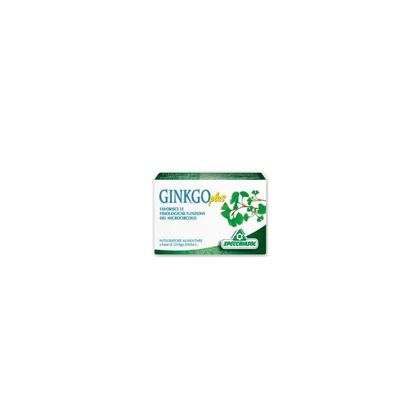 Ginkgo Plus Enhanced Formula - 30 Capsule
