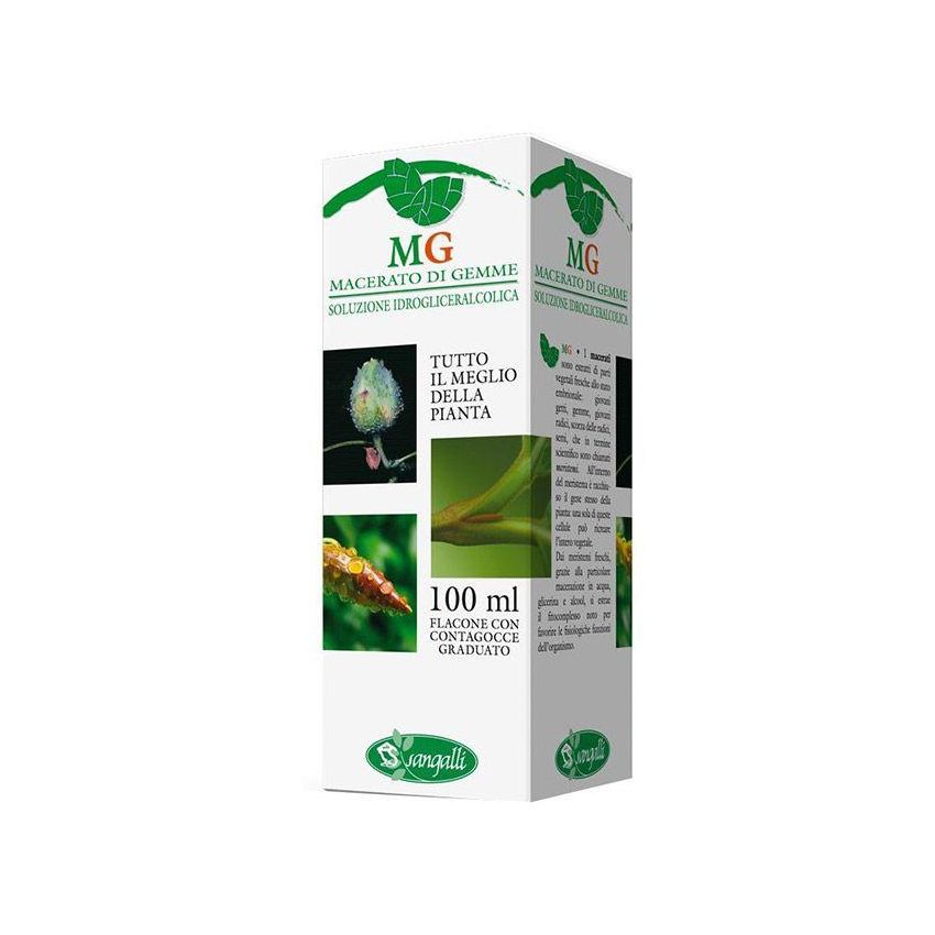 Betulla 100ml Estratto Concentrato