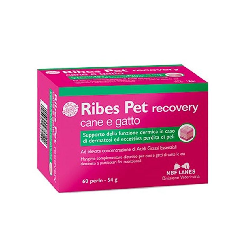 Ribes Pet Recovery: Supporto Dermico per Cani e Gatti - 60 Perle