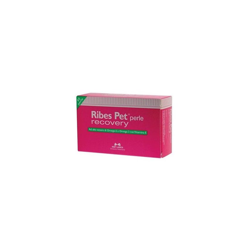 Ribes Pet Recovery: Supporto Dermico per Cani e Gatti - 60 Perle