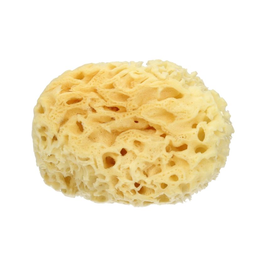 Spugna Naturale di Mare Extra Large