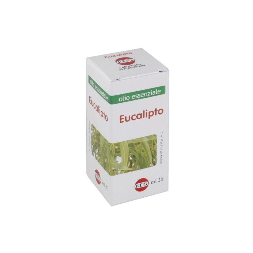 Olio Essenziale di Eucalipto Puro - 20ml