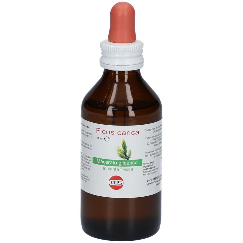 Macerato Glicerico di Ficus Carica 100ml - Estratto Naturale