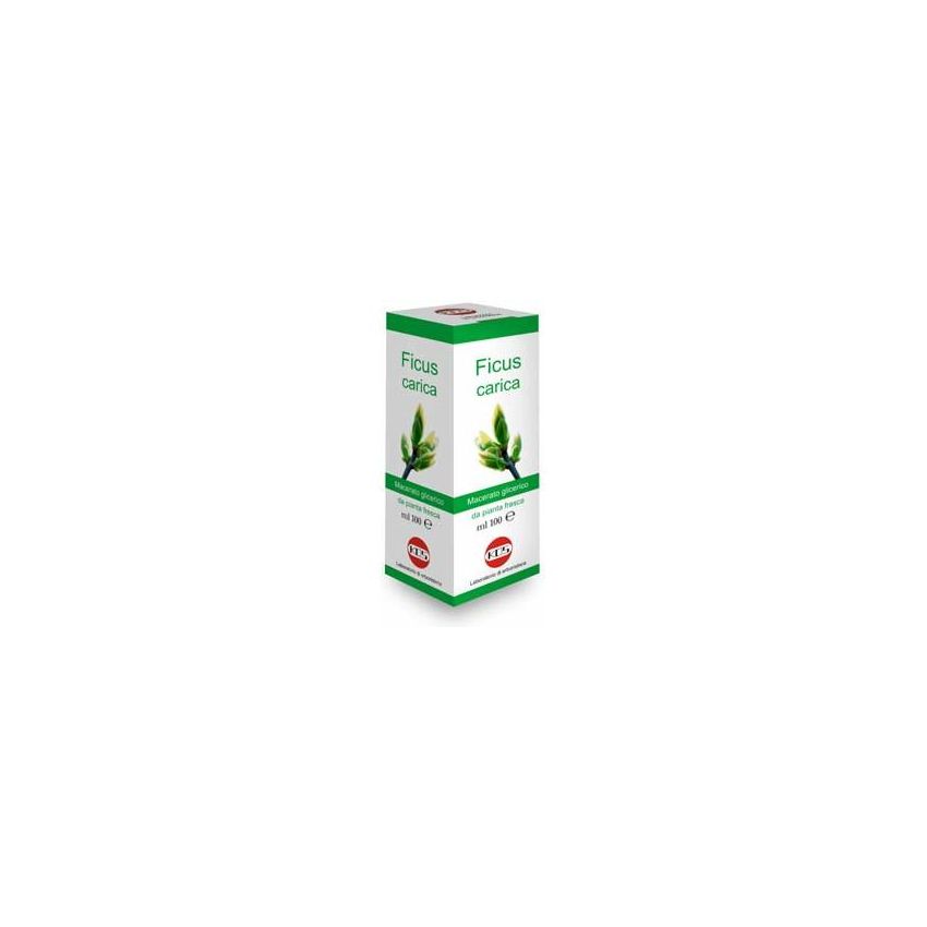 Macerato Glicerico di Ficus Carica 100ml - Estratto Naturale