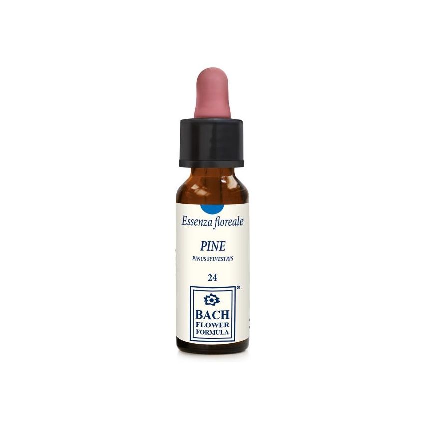 Essenza Floreale di Pino Erba Vita - 10ml