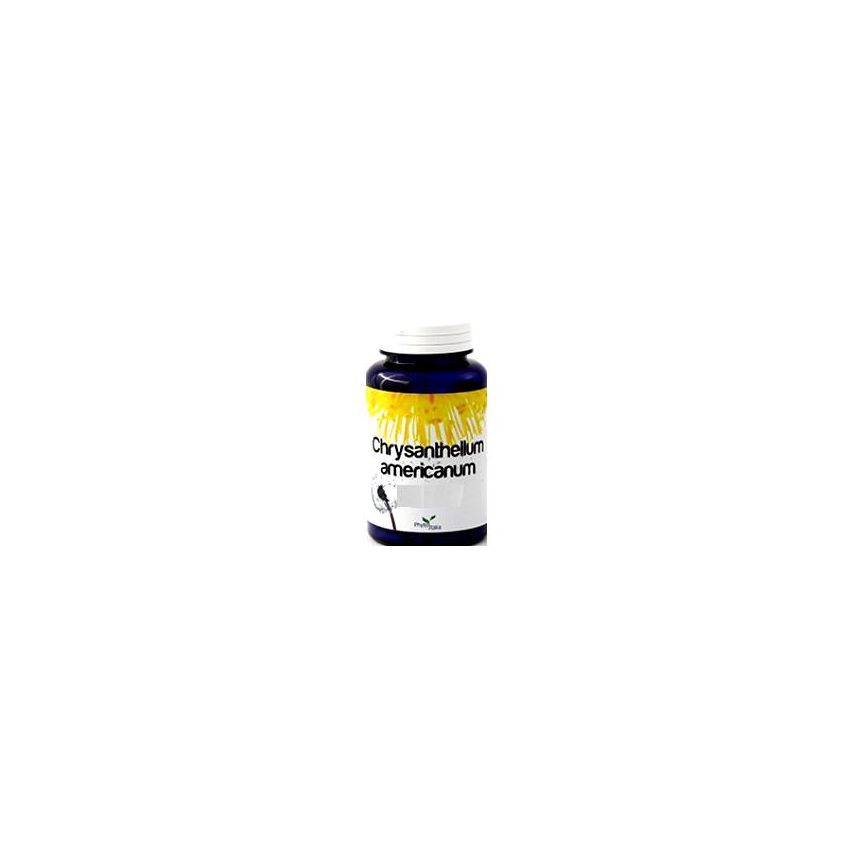 Chrysantellum Americanum - 60 Capsule di Supporto Naturale