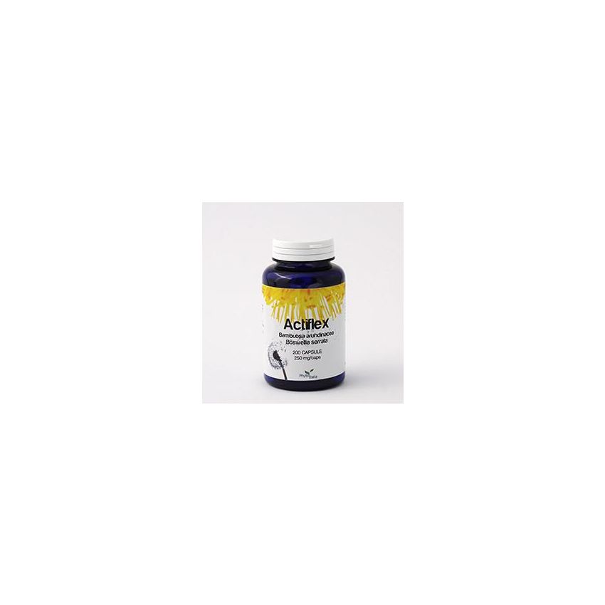 ActiFlex Advanced Joint Support, 60 Capsule