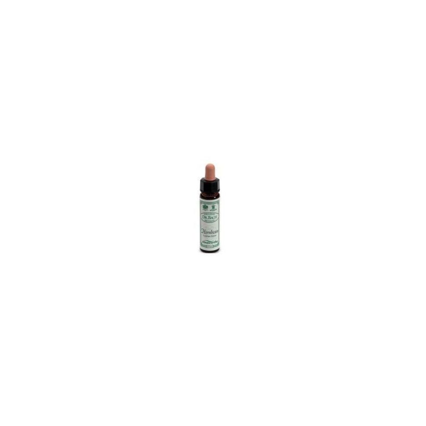 Ainsworths Hornbeam Essential Oil, 10ml