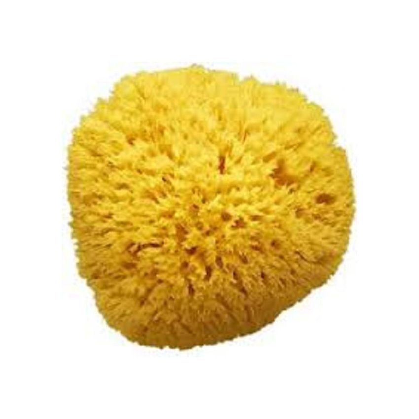 Amidosan Spugna di Mare Naturale