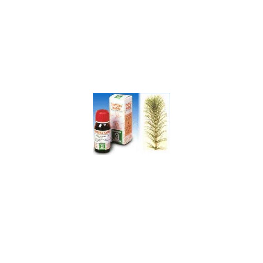 Specchiasol Equiseto 12 Soluzione Idroalcolica, 50ml