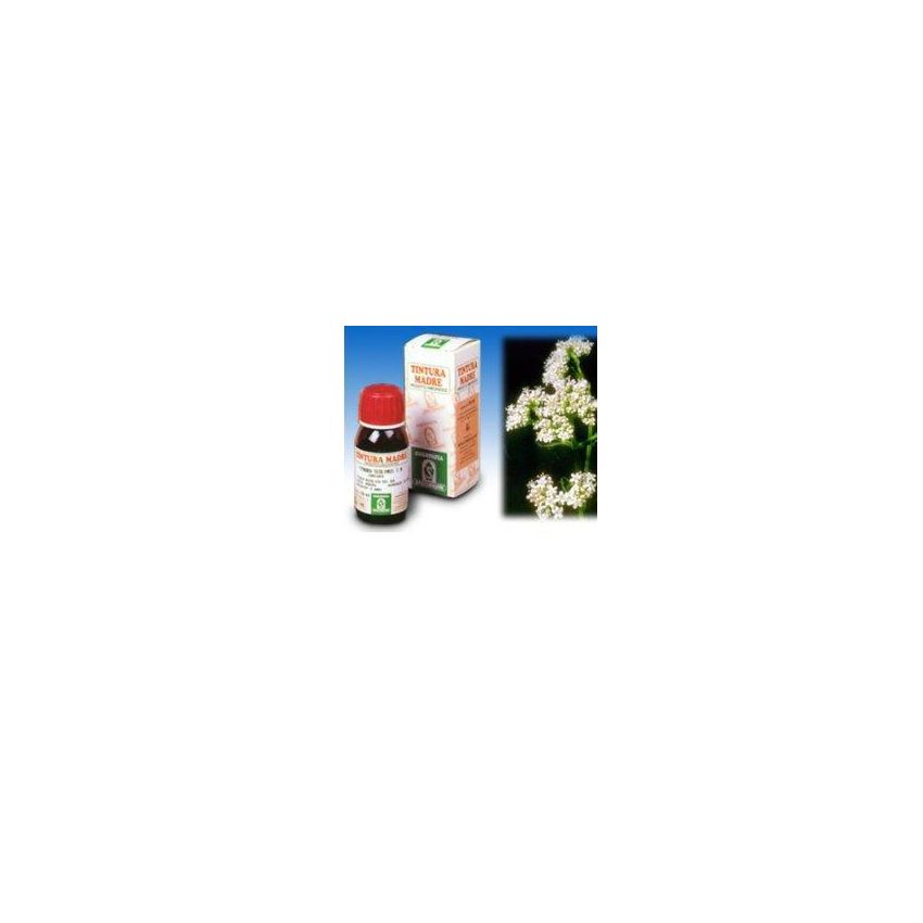 Specchiasol Soluzione Idroalcolica di Valeriana 50ml - 36 Dosi