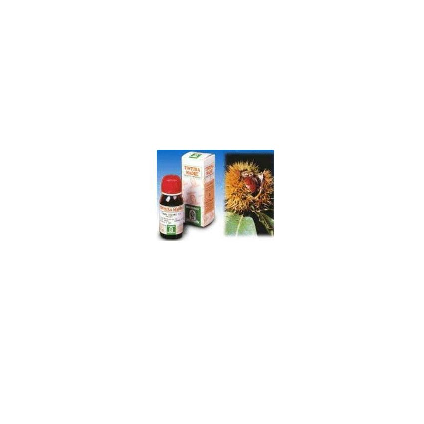 Specchiasol Agnocasto 53 - Soluzione Idroalcolica Naturale, 50ml