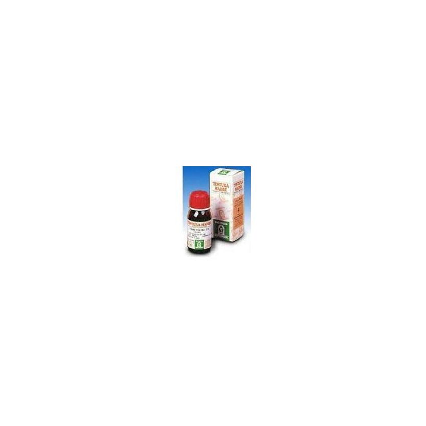 Specchiasol Soluzione Idroalcolica di Ginkgo Biloba 50ml