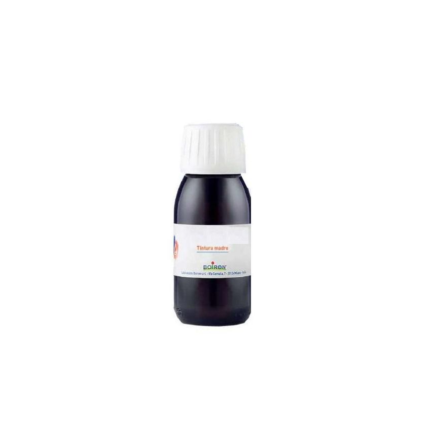 Tintura Madre di Arnica Montana - Flacone da 60ml