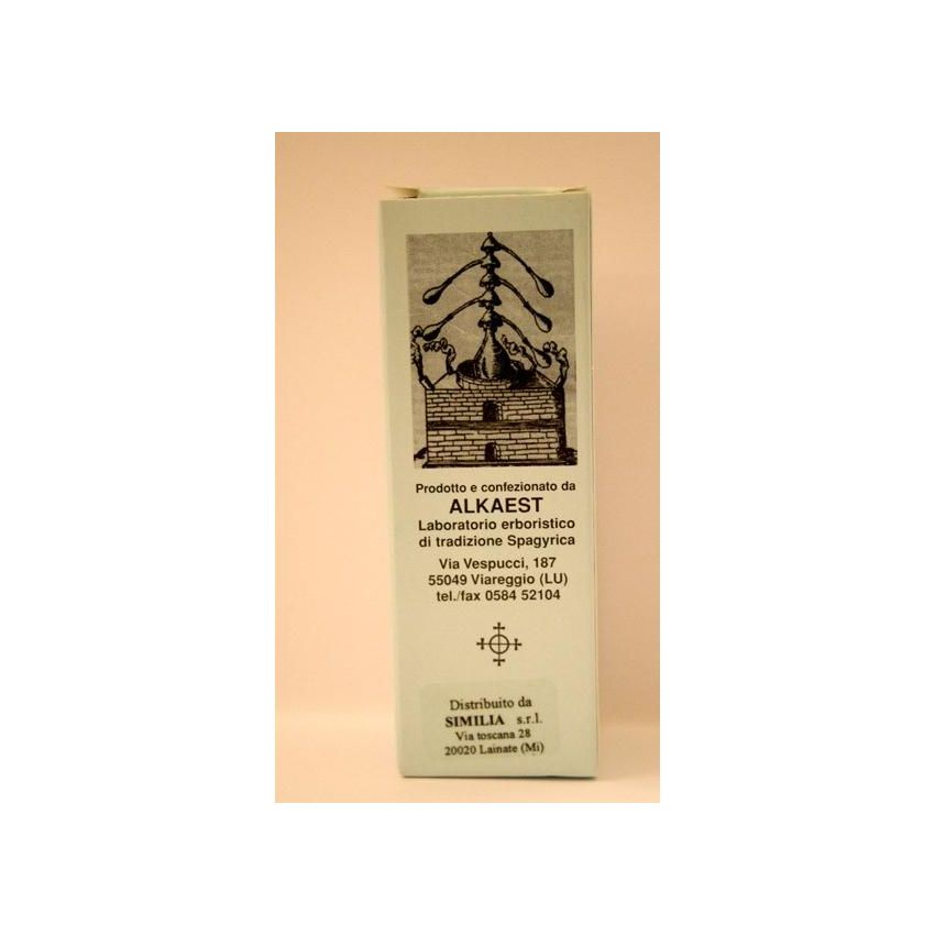Essenza Pura di Lavanda Quintessenza - Flacone da 10ml