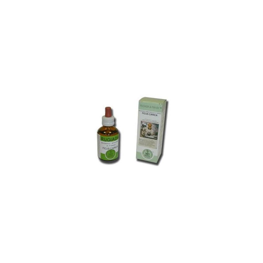Essenza di Ficus Carica Rugiada - Flacone da 50ml