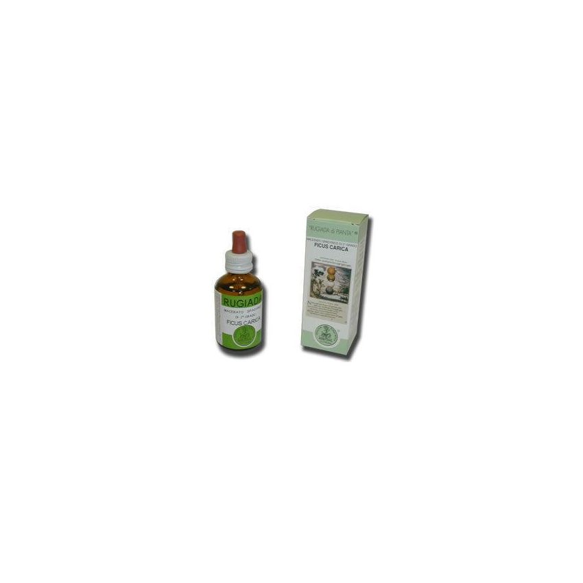 Essenza di Ficus Carica Rugiada - Flacone da 50ml