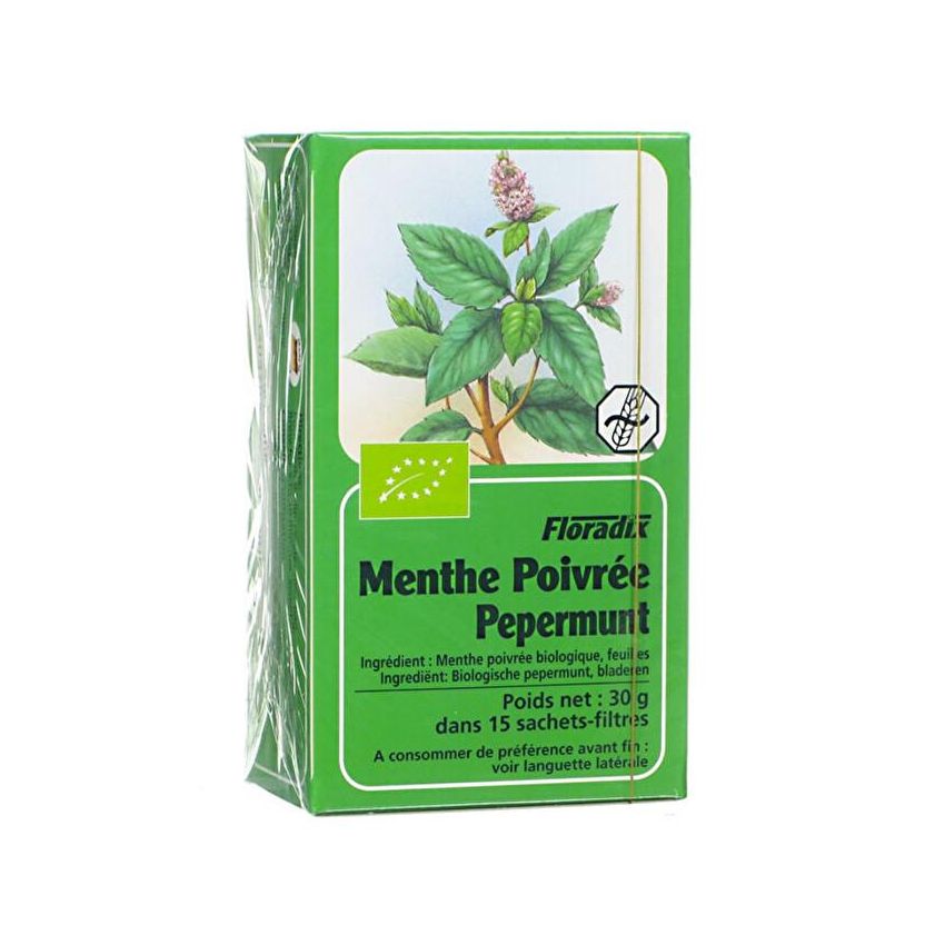 Floradix Bio Infuso di Menta Piperita - 15 Filtri