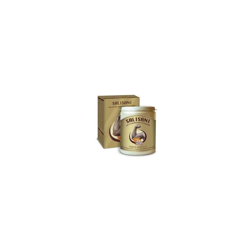 Dr.Giorgini Salisani Vitaminsport Polvere Nutritiva per Energia - 360g
