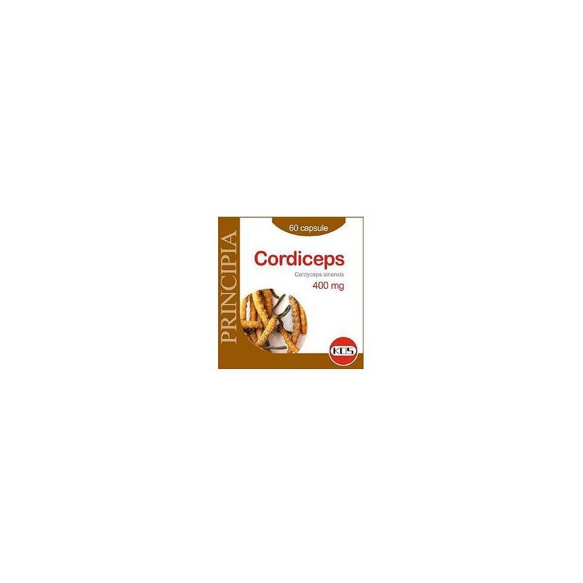 Estratto Secco di Cordyceps in Capsule - Confezione da 60