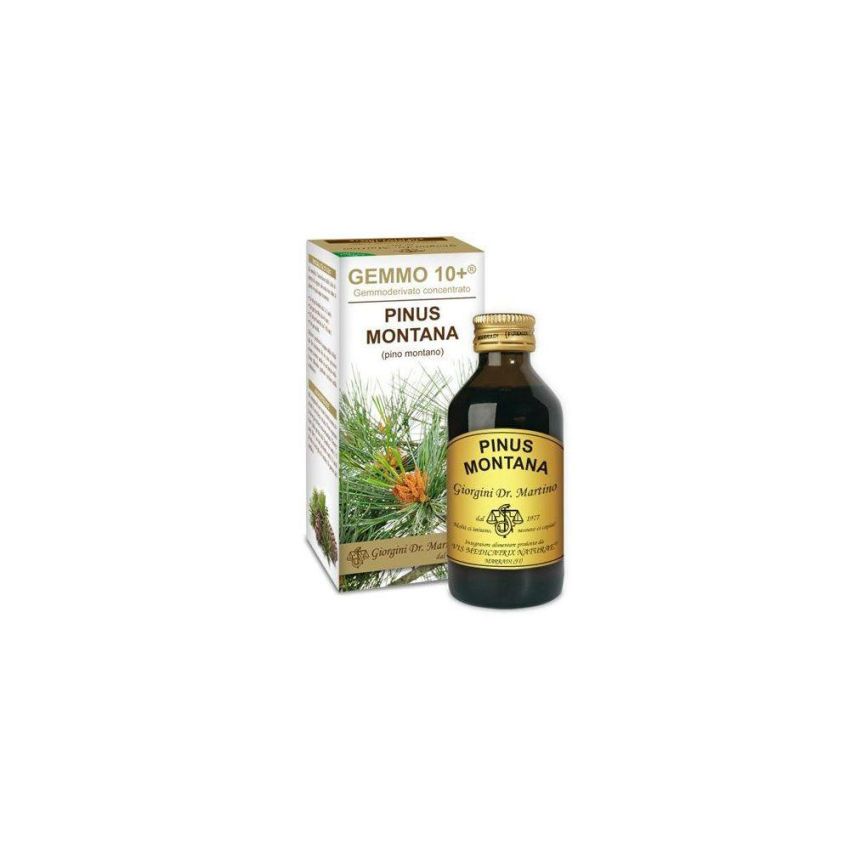 Concentrato Pinus Montana Gemmoderivato 100ml