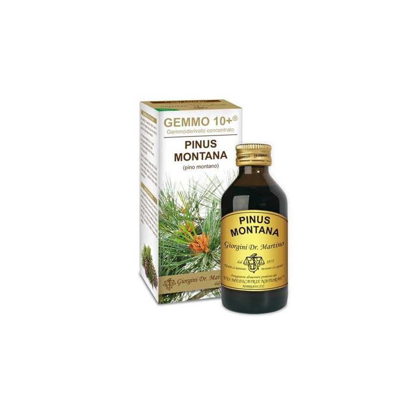 Concentrato Pinus Montana Gemmoderivato 100ml