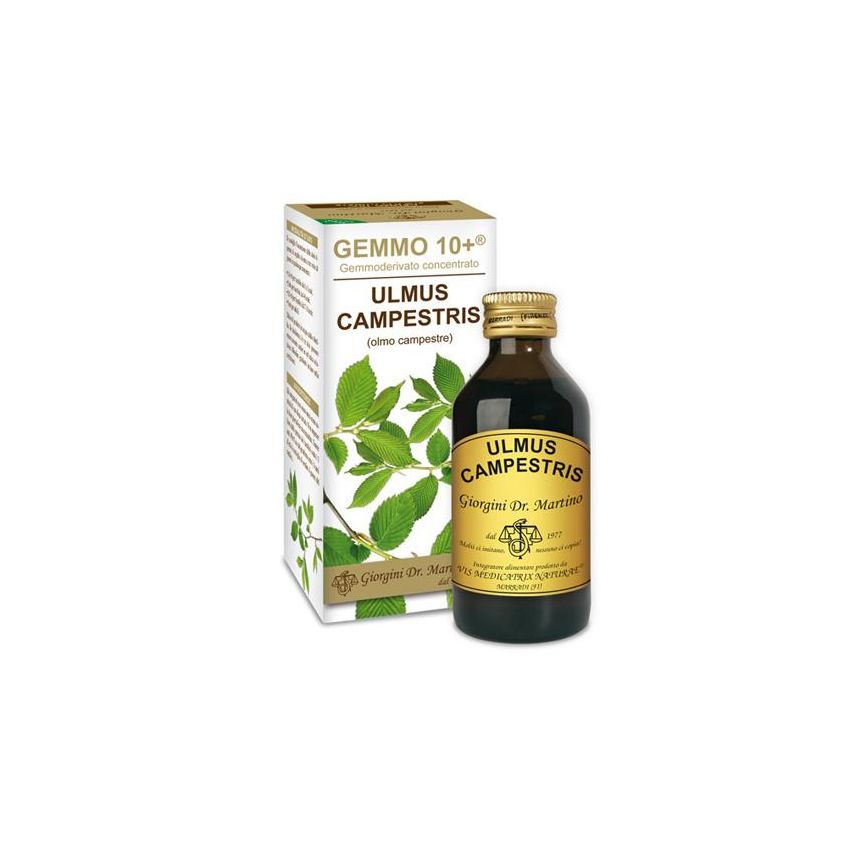 OLMO Camp 100ml - Gemm10+ soluzione analcolica di gemmoderivati