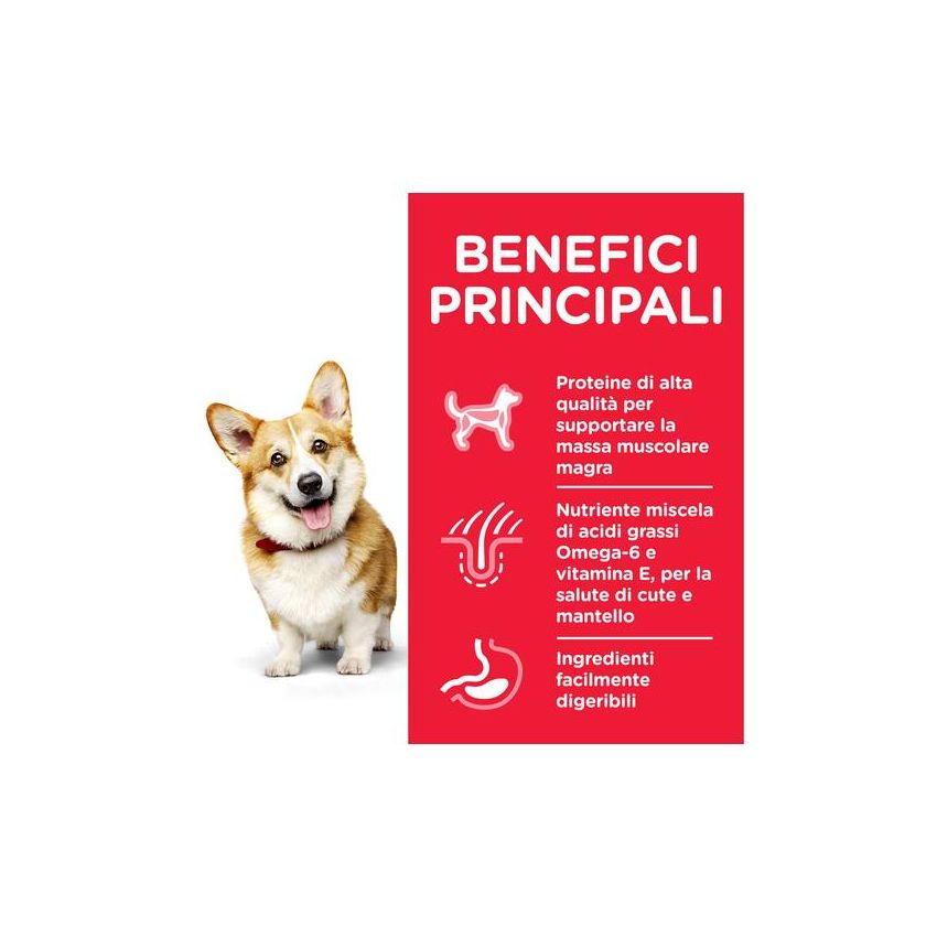 Hill's Science Plan Crocchette di Pollo per Cani Adulti - Sacco 1,5kg