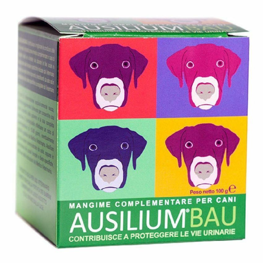 Ausilium Bau Pasta Coadiuvante 100g