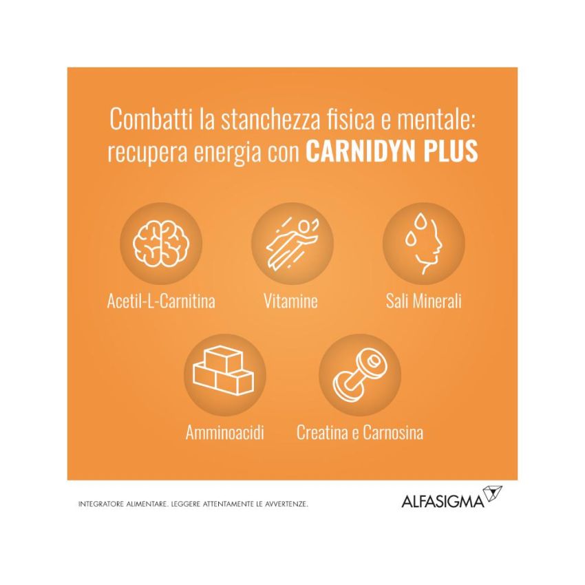 Carnidyn Plus - Integratore Alimentare in Bustine, 20 Pezzi