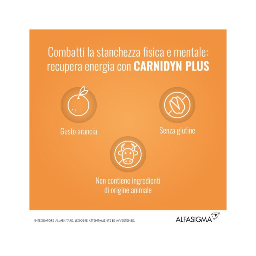 Carnidyn Plus - Integratore Alimentare in Bustine, 20 Pezzi