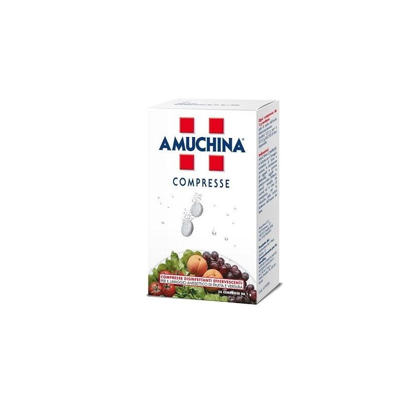 Amuchina Compresse Disinfettanti 1g - Confezione da 24 Pezzi
