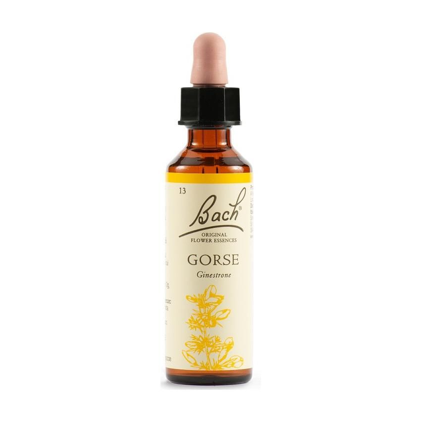 Bach Original Gorse Flower Essence, 20ml