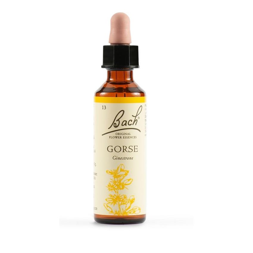 Bach Original Gorse Flower Essence, 20ml