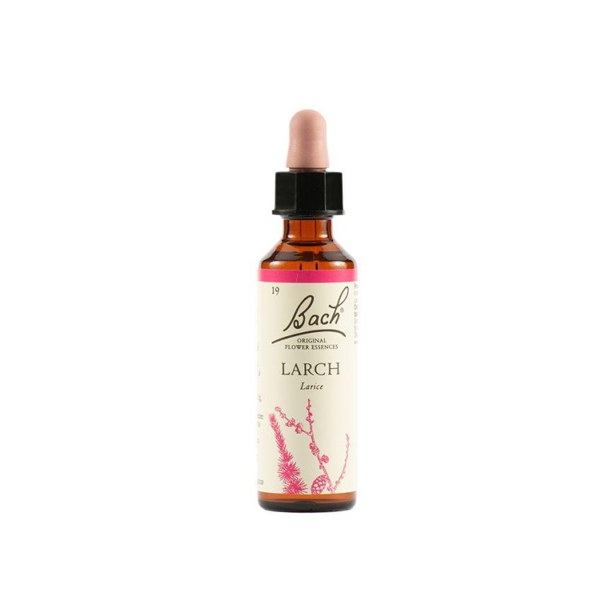 Bach Original Larch Flower Essence, 20ml