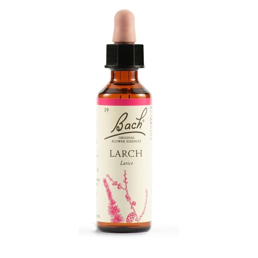 Bach Original Larch Flower Essence, 20ml