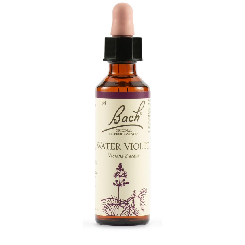 Bach Original Water Violet 20ml Essence