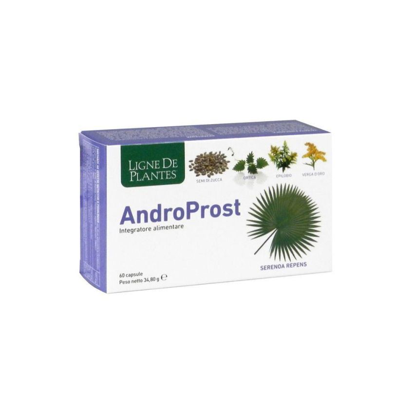 AndroProst Supporto per la Salute della Prostata, 60 Capsule