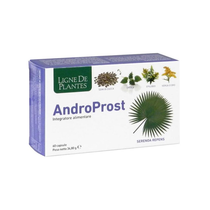 AndroProst Supporto per la Salute della Prostata, 60 Capsule