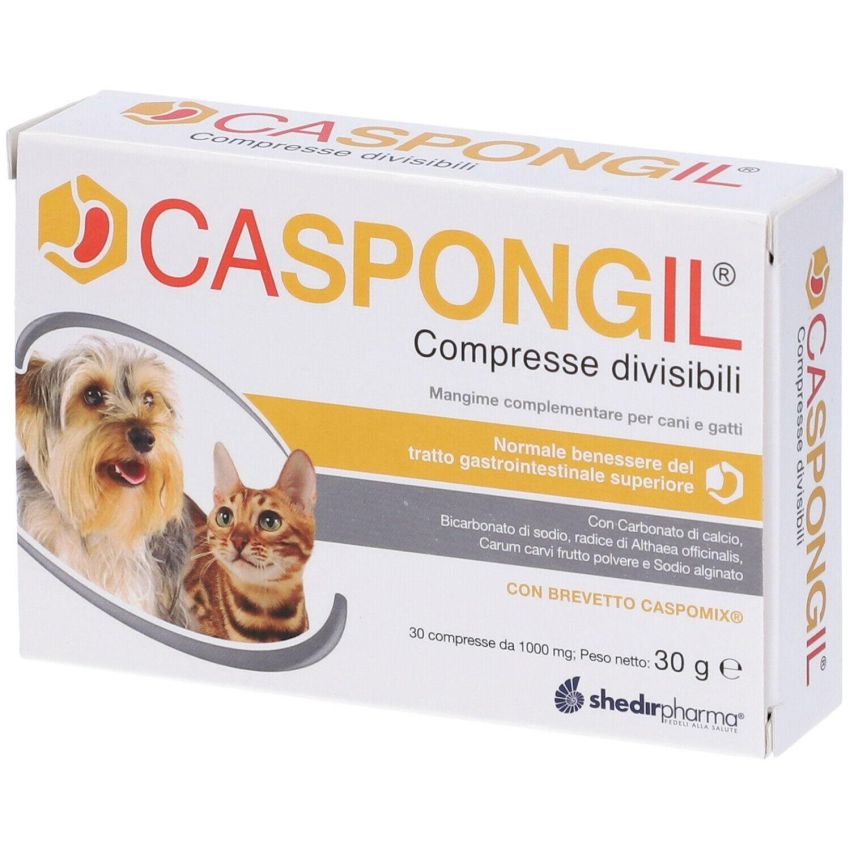 Caspongil Compresse Divisibili per Cani e Gatti - 30 Pezzi