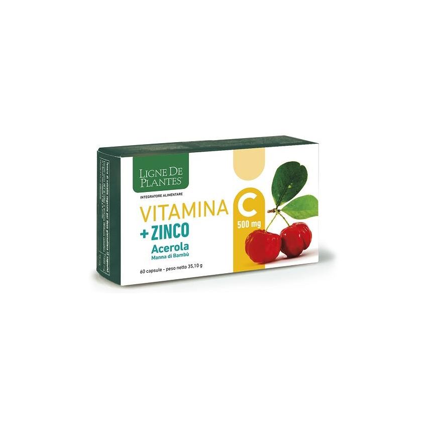 Vitamina C 500mg con Zinco, Acido Ascorbico e Biotina - 60 Capsule