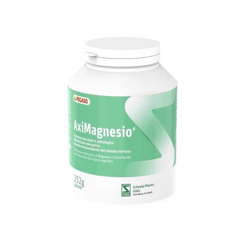 Aximagnesio Polvere di Magnesio di Alta Qualità - 252g