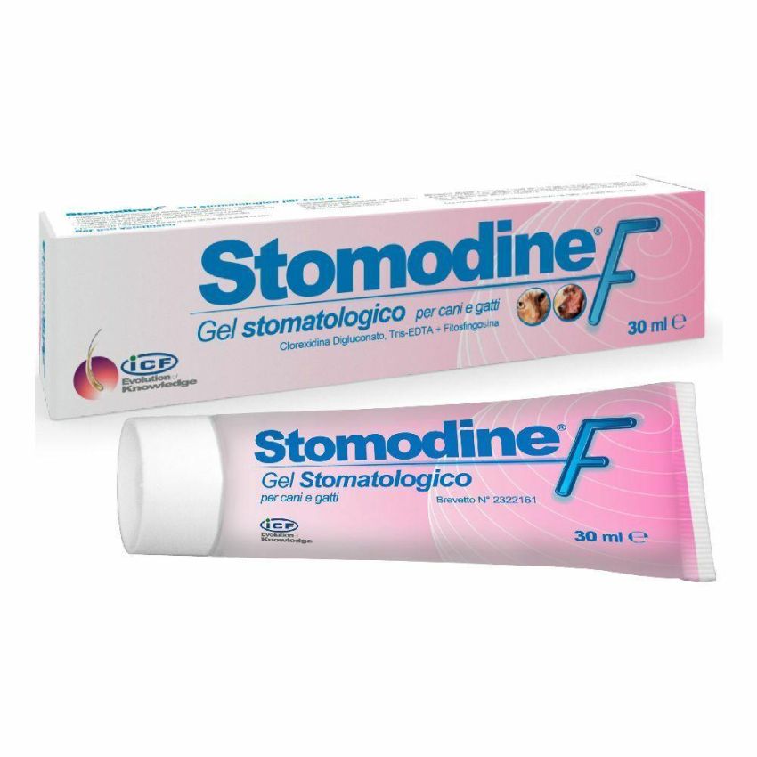 Stomodine F Gel Dentale Curativo 30ml