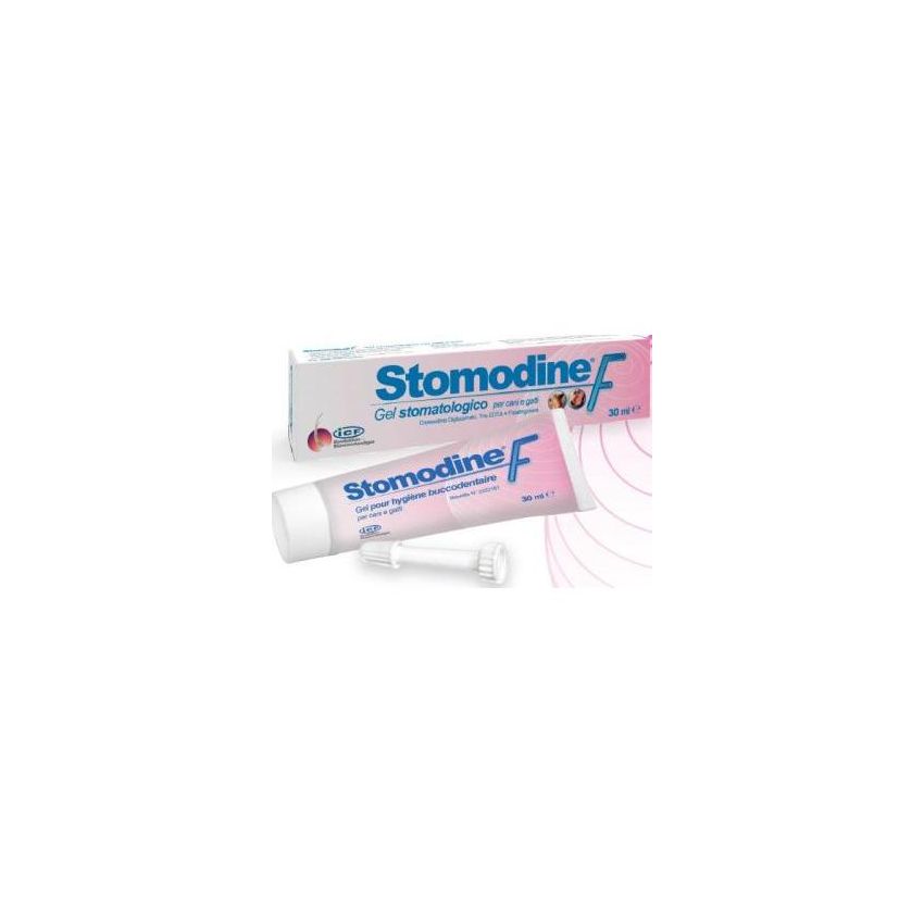 Stomodine F Gel Dentale Curativo 30ml