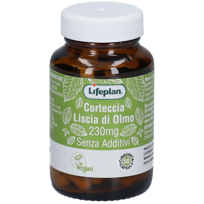 Compresse di Corteccia di Olmo Liscio - Confezione da 50